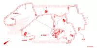 RR. BRAKE HOSE/BRAKE PIPE Honda REBEL 1100 DCT 2023